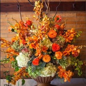 Meet your Posher, Ayana